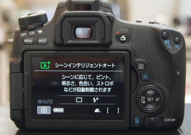 作例付き】キヤノン EOS8000D レビュー in 嵐山