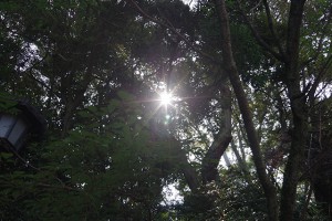 IMGP0452