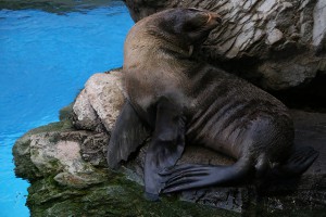 IMG_1010