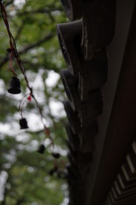 IMGP6401