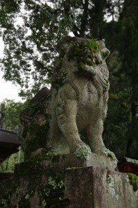 IMGP6412