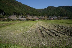 Vario-Tessar T*FE16-35/4ZA OSS