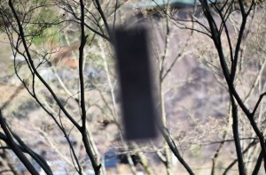 IMG_8858