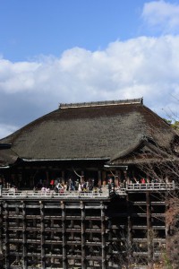 IMG_8905