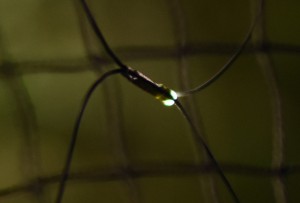 IMG_8992-2