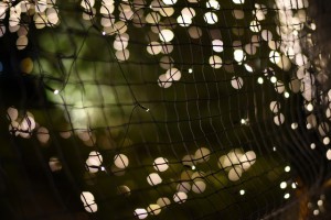 IMG_8992