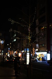 IMG_9206