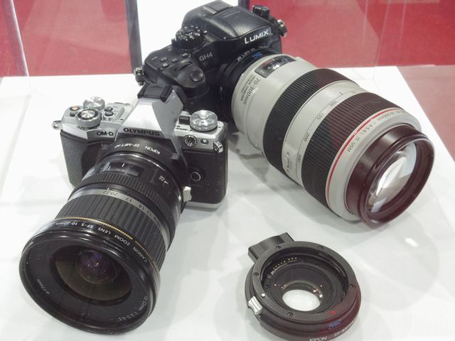 IMGP9656