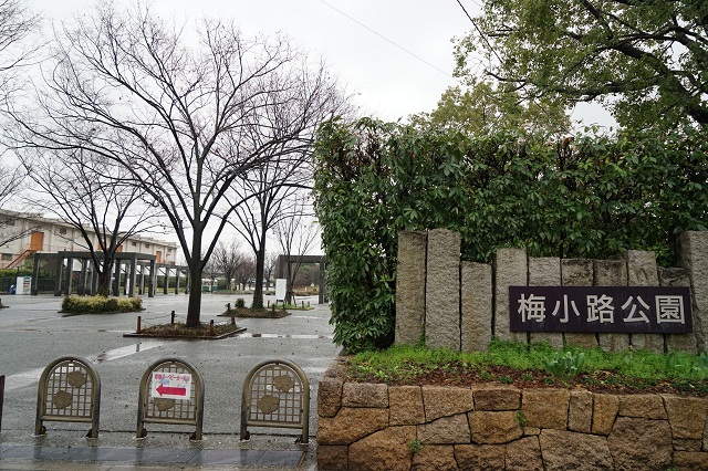 梅小路公園（雨の）