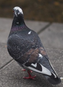 P3080008