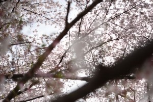 DSC_0477_00039
