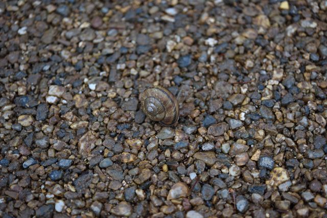 DSC_0514_00076