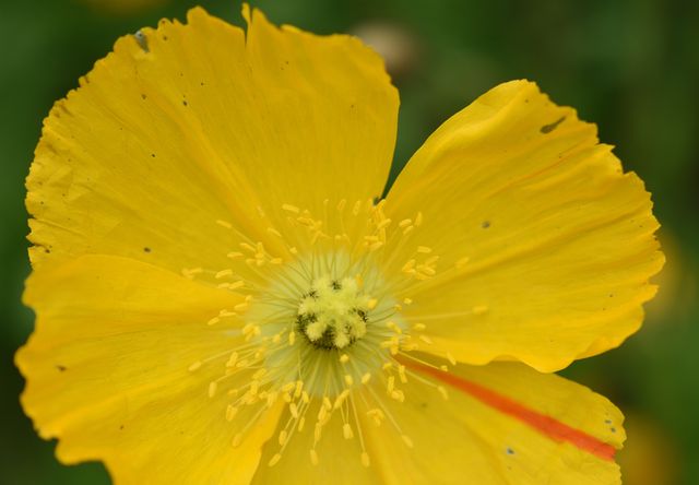 DSC_0535_00097
