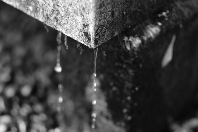 DSCF5259