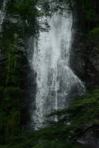 DSC_0632