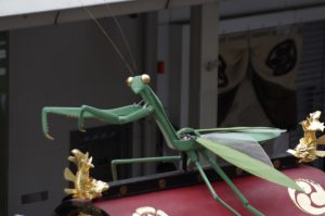 IMGP0310
