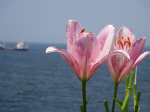 DSC00068