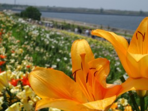 DSC00081
