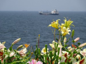DSC00083