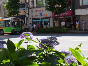 P6150027