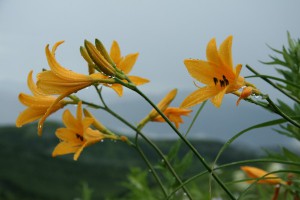 IMG_6149