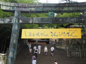 P7200058