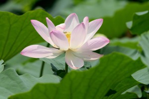 IMG_6116b