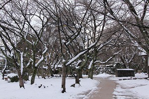IMG_1359