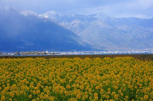 IMG_0014