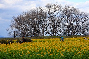 IMG_0019