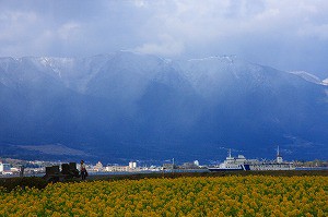 IMG_0020