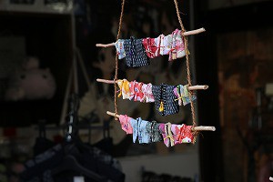 IMG_0084