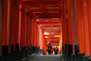 IMG_3753