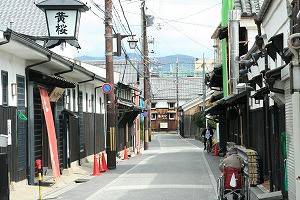 IMG_3855