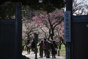 IMG_0095