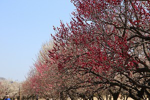 IMG_0126