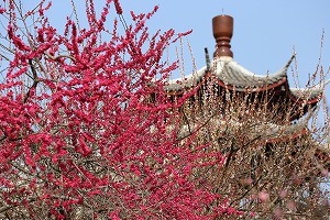 IMG_0141