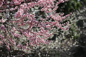 IMG_0151