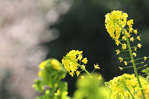 IMG_0170