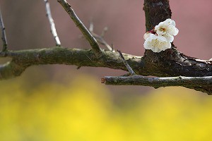 IMG_0172
