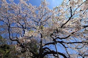 IMG_3656