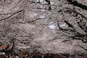IMG_3696