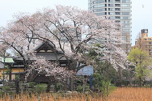 IMG_3726