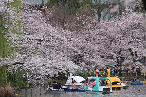 IMG_3731