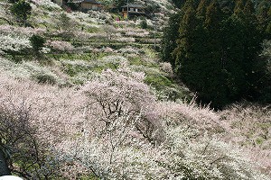 IMG_3819