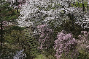 IMG_0277