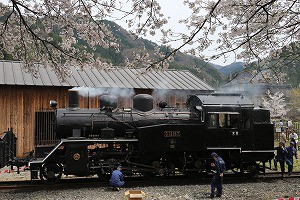 IMG_0309