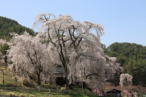 IMG_0408