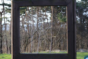 IMG_0418