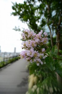 14.28 (3)
